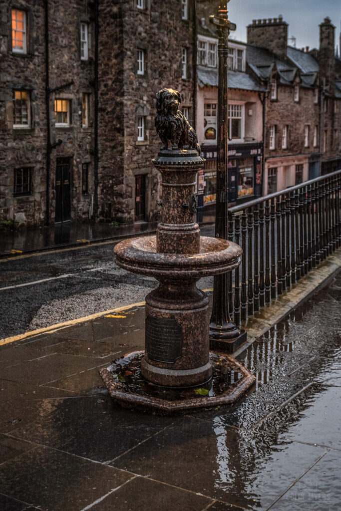Greyfriars Bobby In The Rain