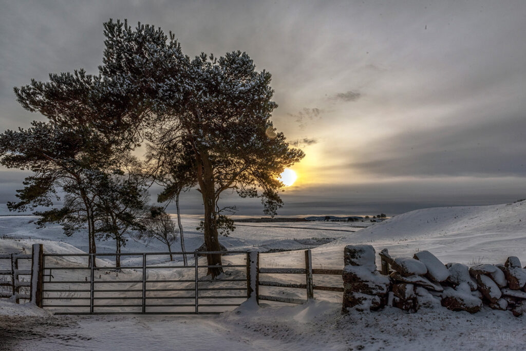 Snowy Midlothian Sunset
