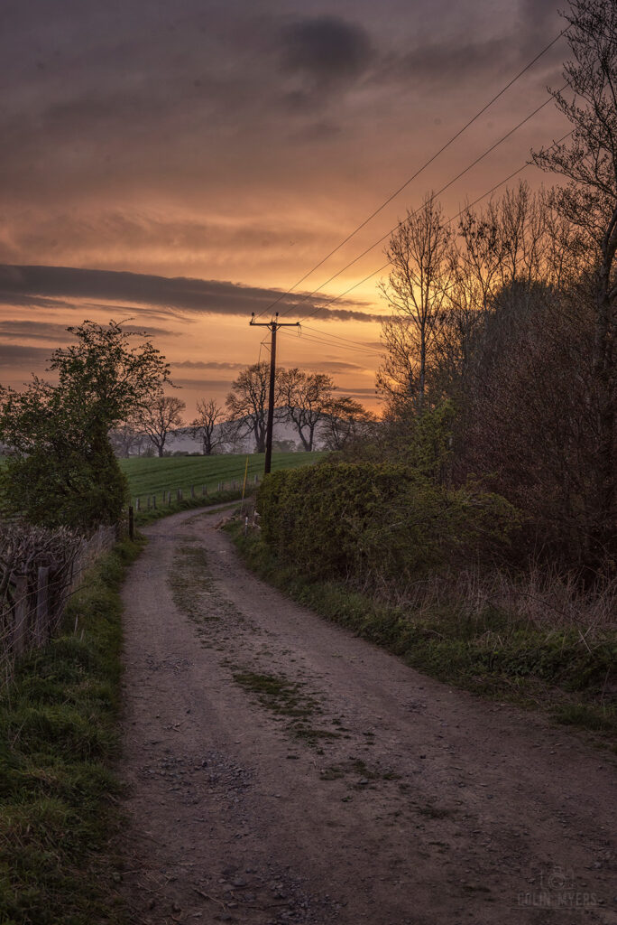 Roslin Sunset