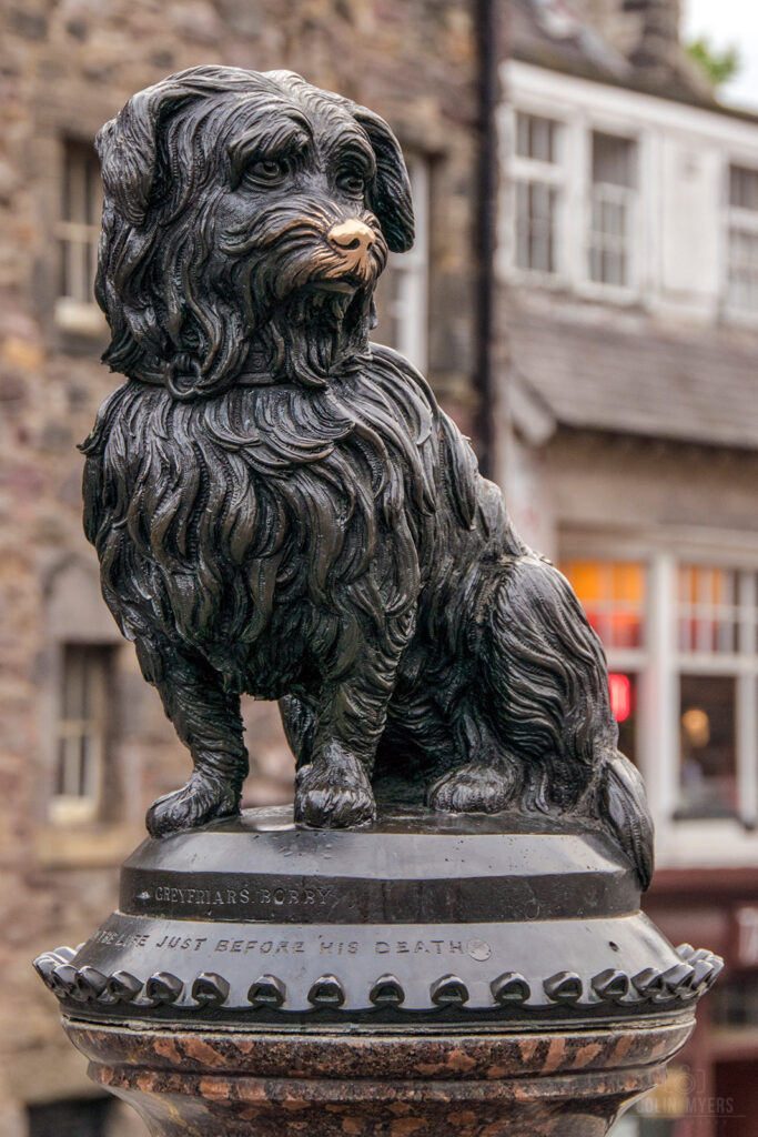 Greyfriars Bobby Portrait