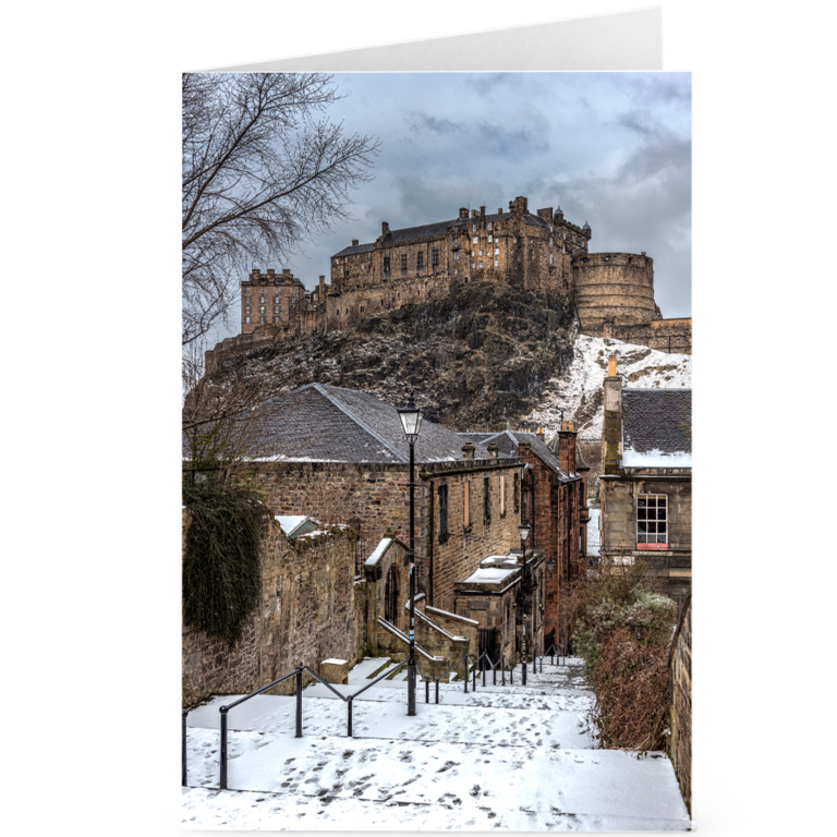 Snowy Vennel • Single Card
