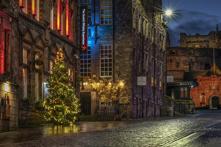 Castle & Christmas Tree