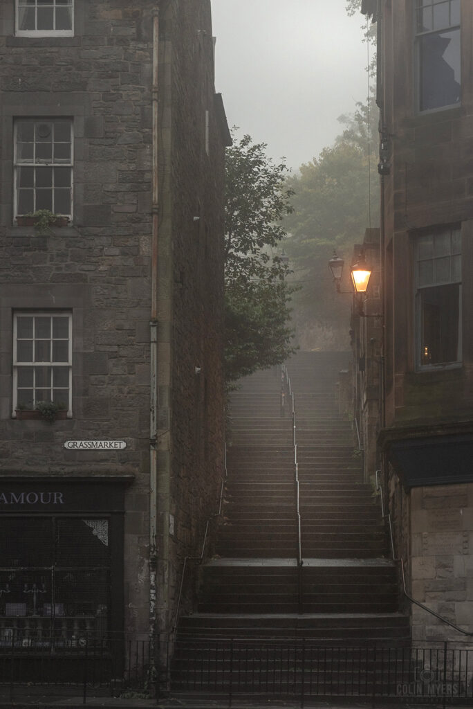 Foggy Vennel
