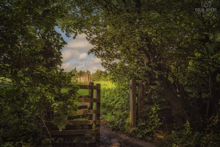 Gate & Woods, Midlothian