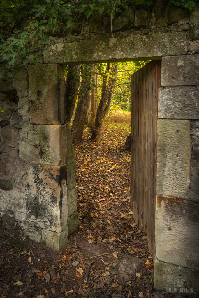 Autumn Woodland Gate, Midlothian