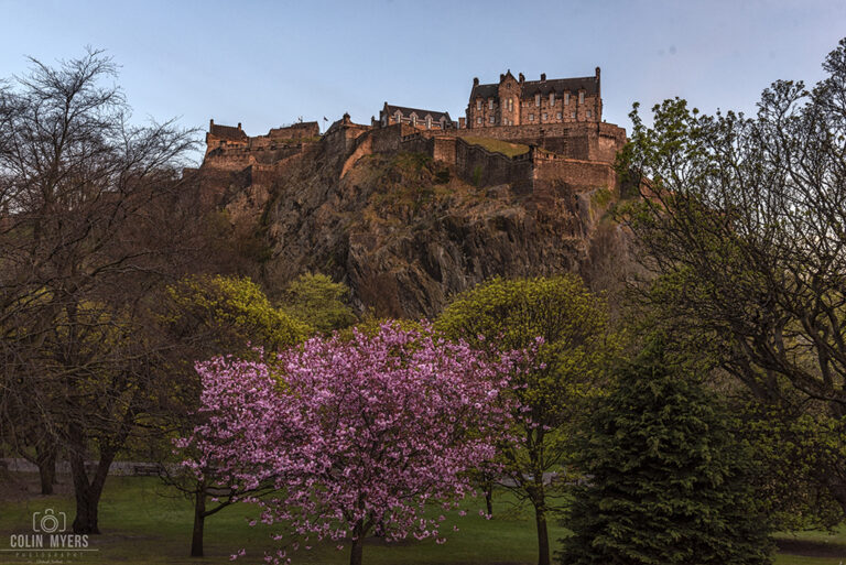 Edinburgh Castle, Cherry Blossom & Sunset