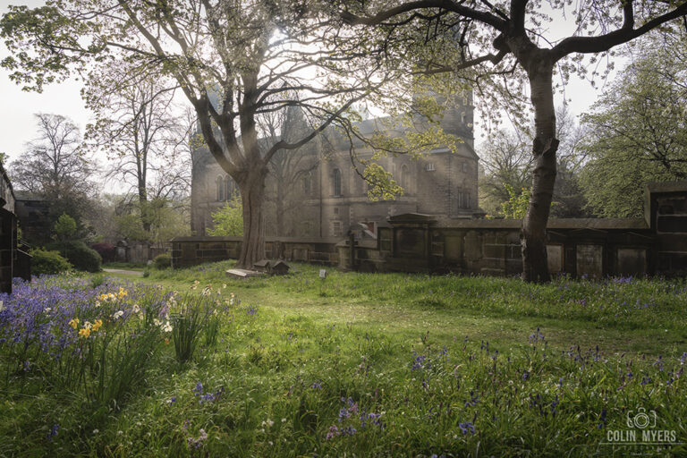 St Cuthbert’s Mist, Sunbeams & Bluebells