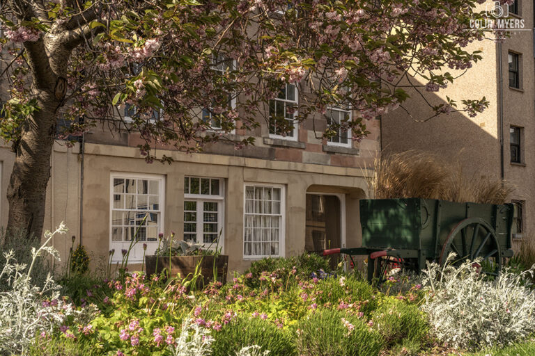 Dalkeith Blossom & Flowers