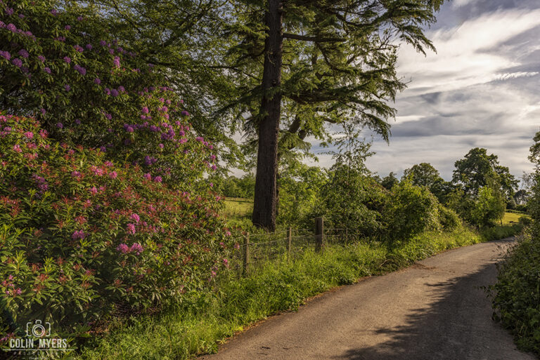 Midlothian Summer Lane