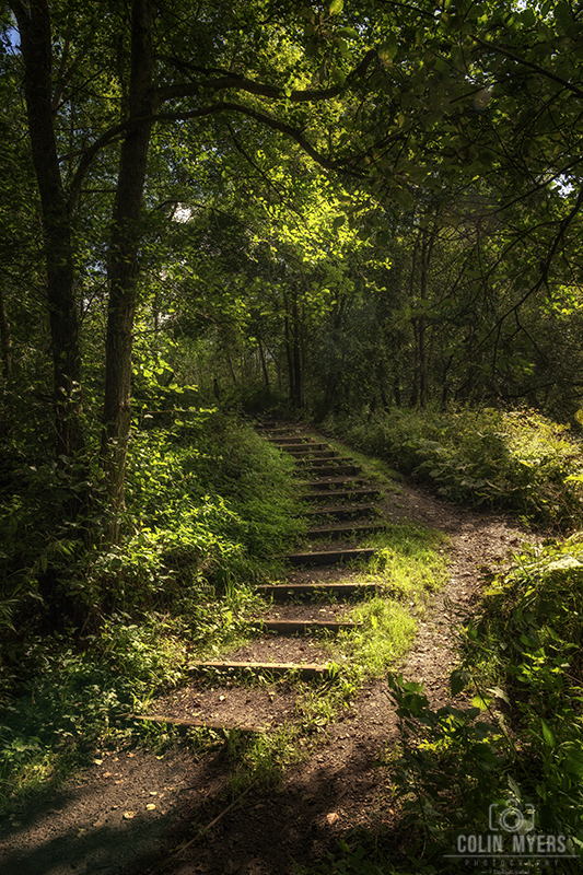 Gore Glen Steps, Midlothian