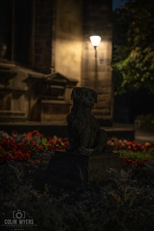 Greyfriars Bobby in the Flowers by Night